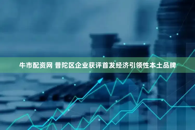 牛市配资网 普陀区企业获评首发经济引领性本土品牌