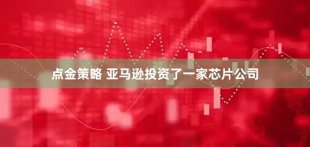 点金策略 亚马逊投资了一家芯片公司