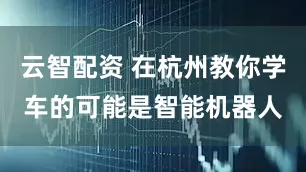 云智配资 在杭州教你学车的可能是智能机器人