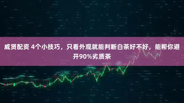 威贤配资 4个小技巧，只看外观就能判断白茶好不好，能帮你避开90%劣质茶